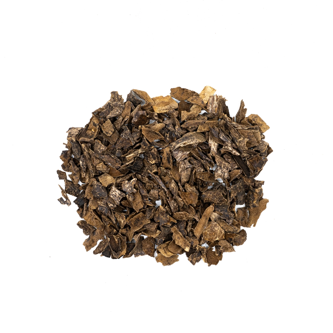 BORAI MORI Under water