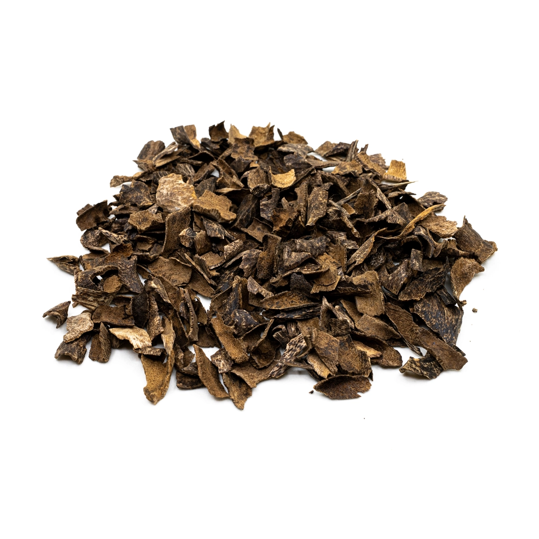 BORAI MORI Under water